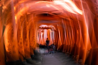 Fushimi Inari