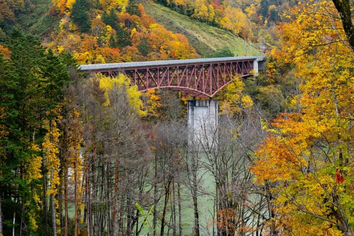 Japan Autumn