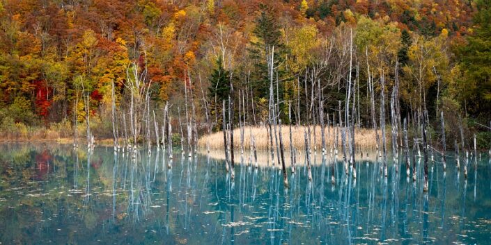 Japan Hokkaido Autumn