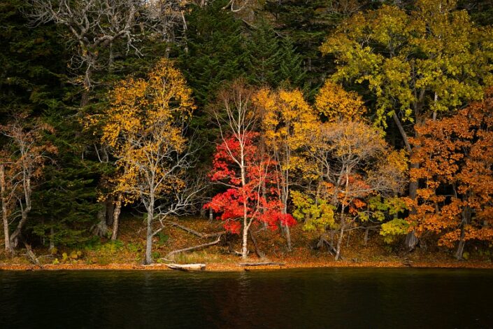 Japan Hokkaido Autumn