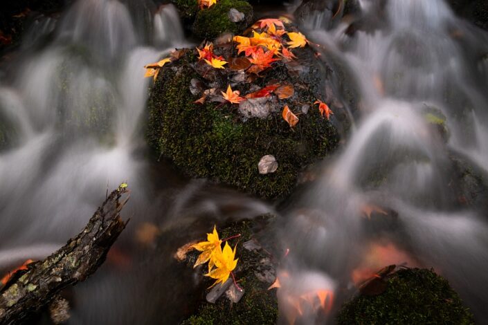 Japan Hokkaido Autumn