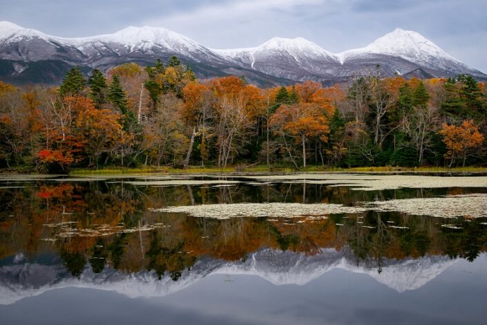 Japan Hokkaido Autumn