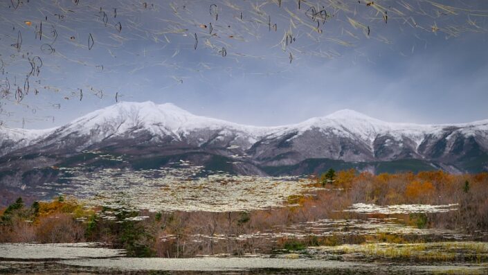 Japan Hokkaido Autumn