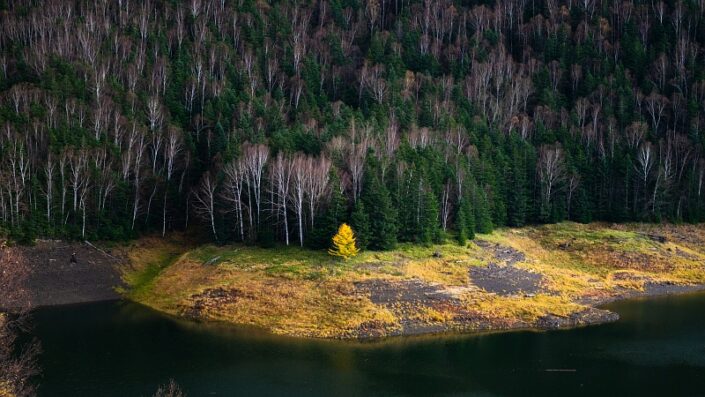 Japan Hokkaido Autumn