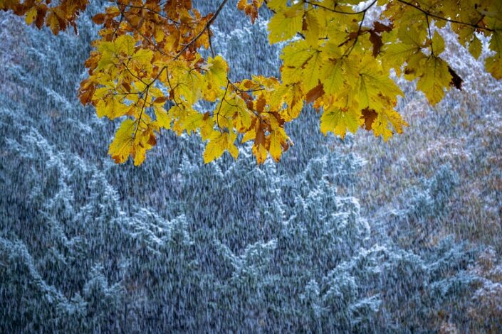 Japan Hokkaido Autumn
