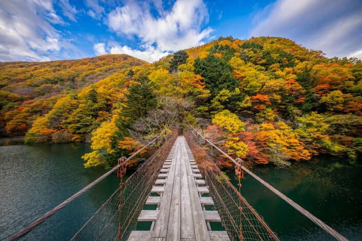 Japan Autumn